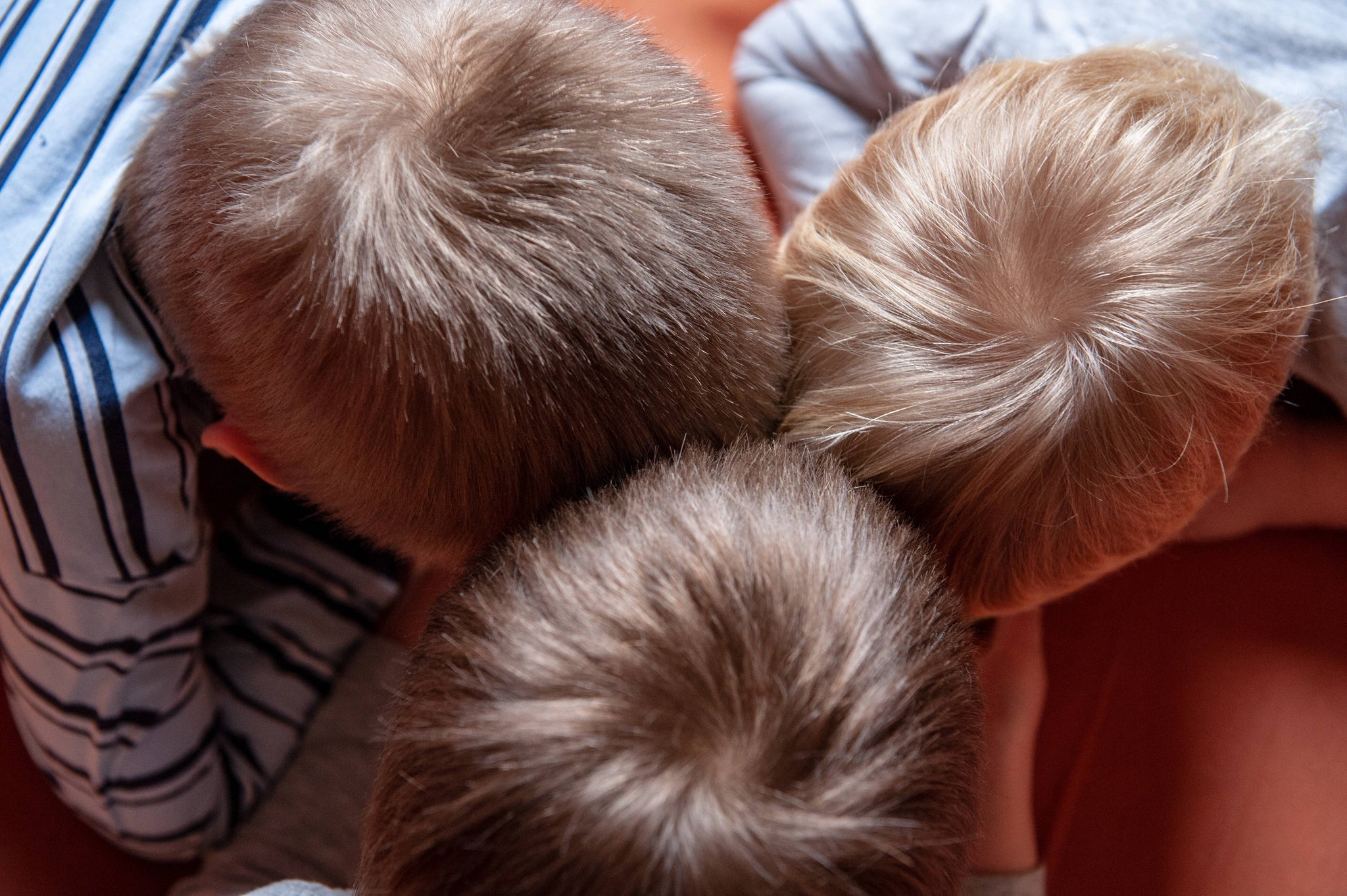 סבוריאה בקרקפת ילדים - איך להבדיל בין קשקשת רגילה לסבוריאה ואיך לטפל בעדינות